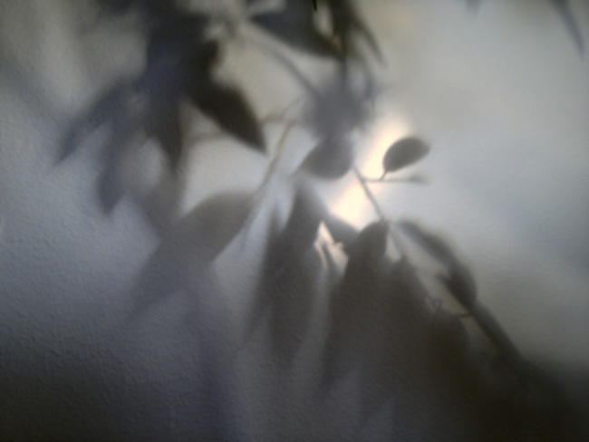 Moving around a roadblock.