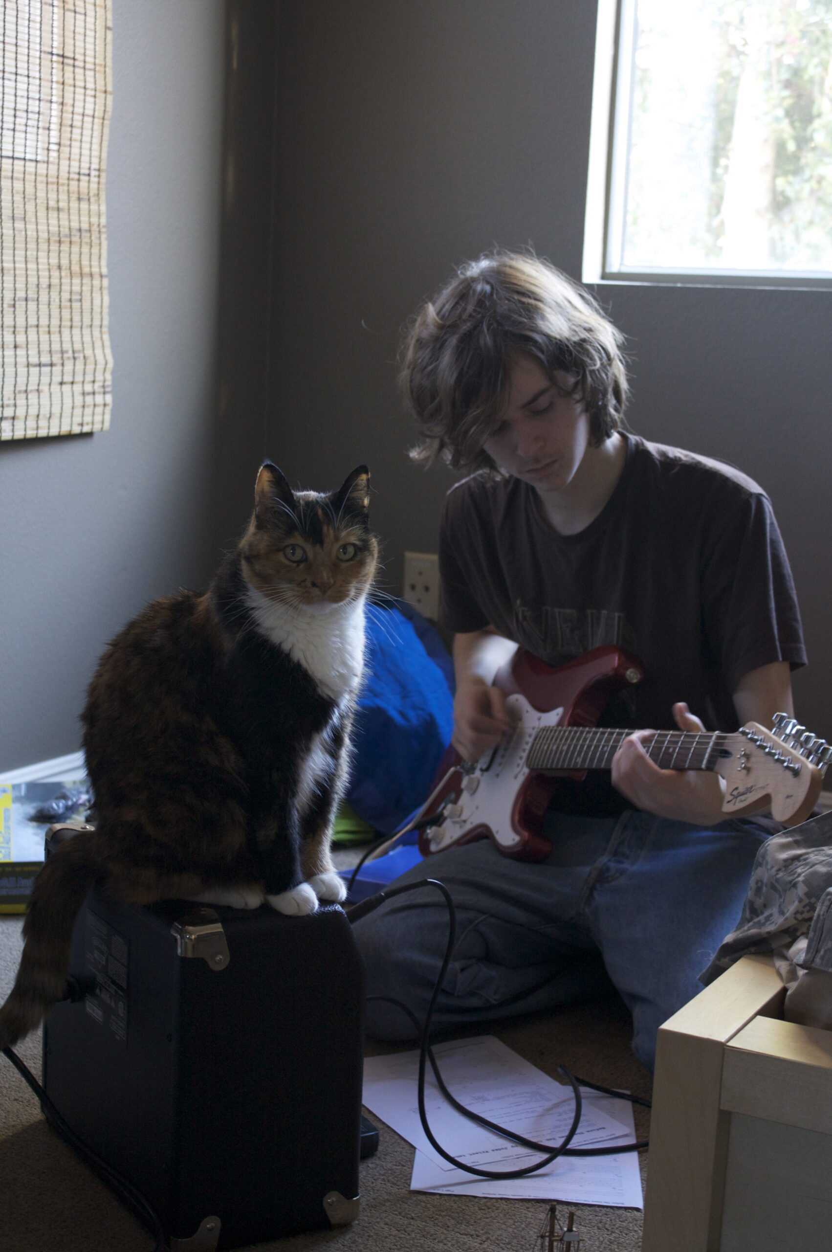 Teenagers, school, and grey hair.