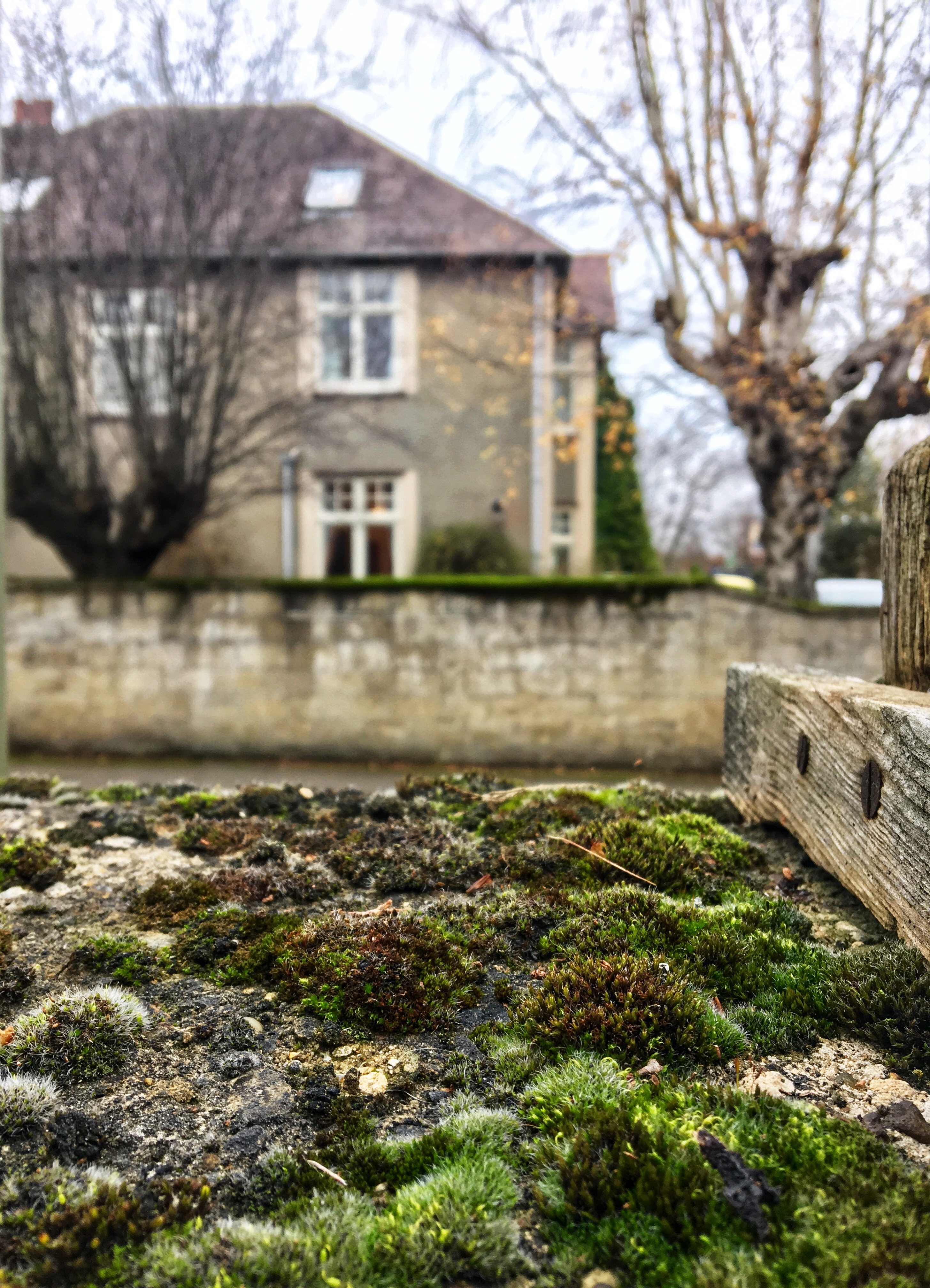 Stay calm and carry on with new perspective