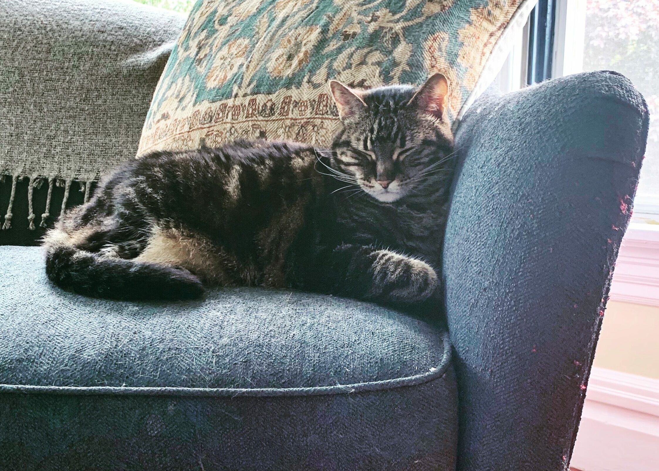 I Began with the Guest Room