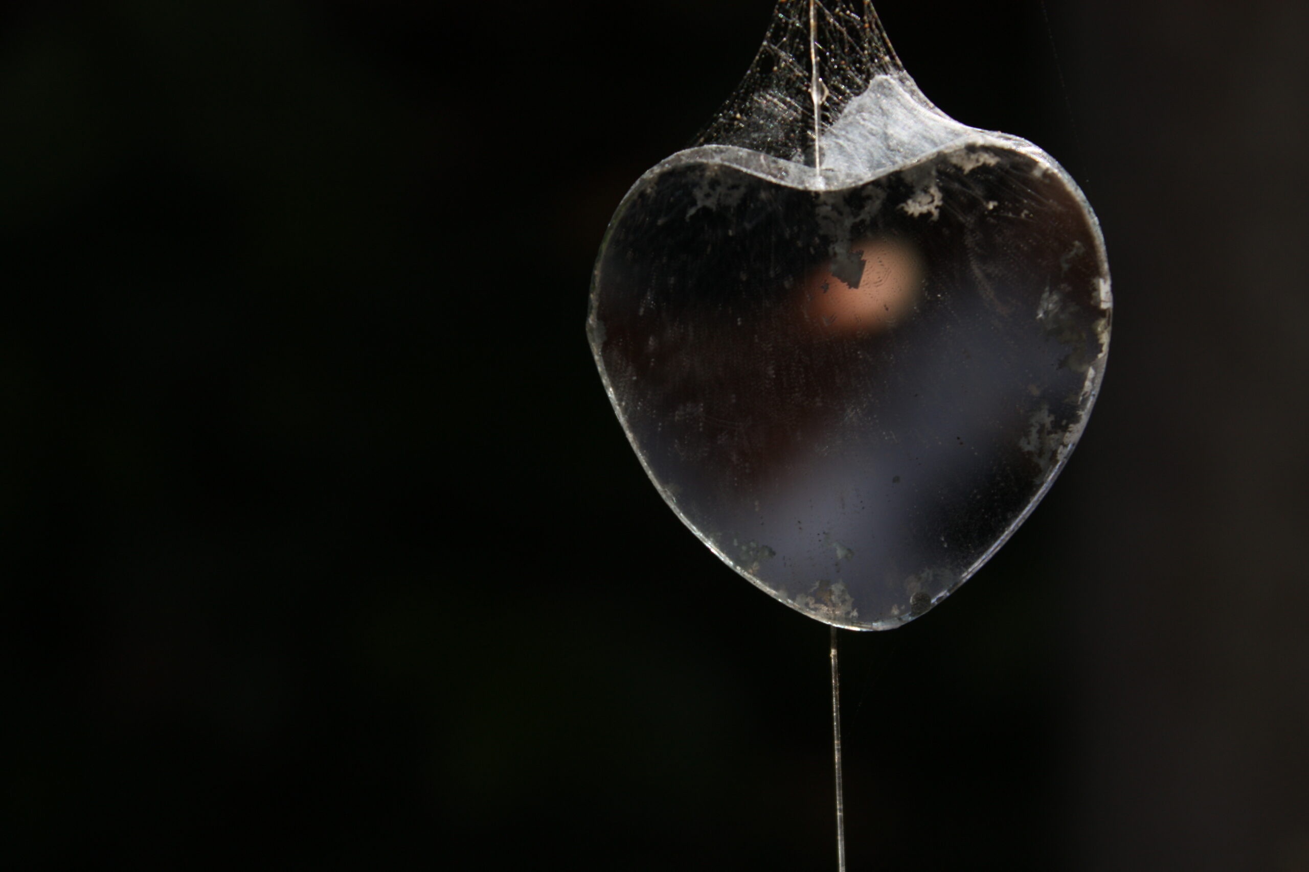 Who pulled our plugs?