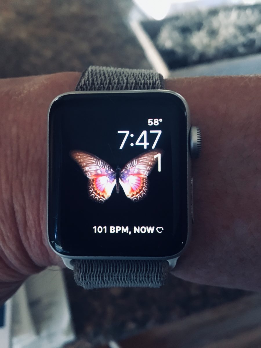 The house on Elkelton