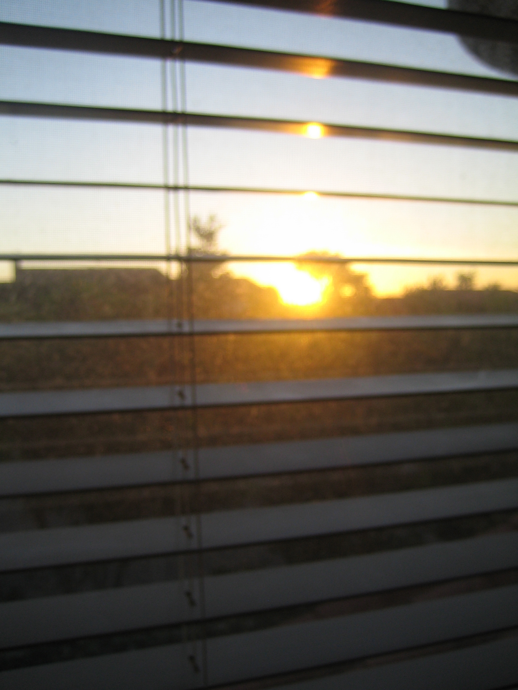 Spectacularly Scintillating Snippets