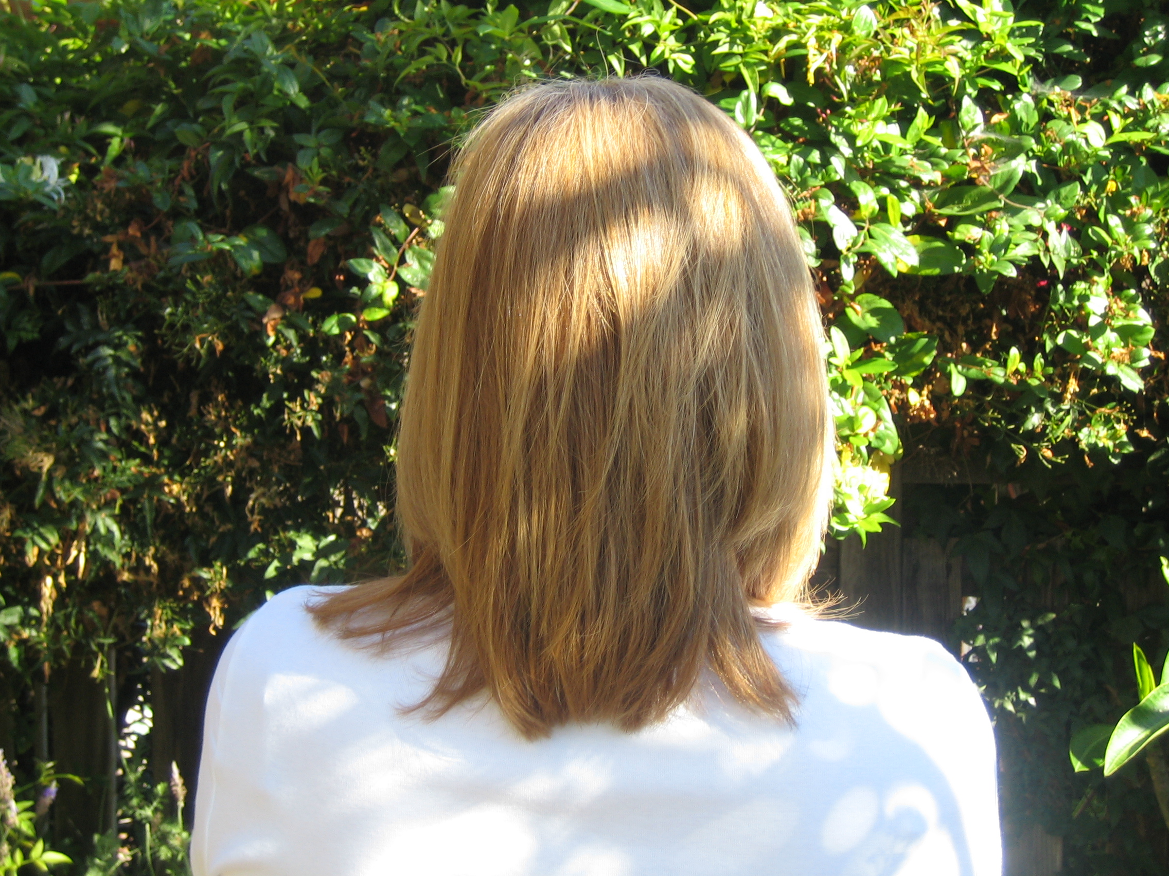 Hair Truce at the O.K. Salon