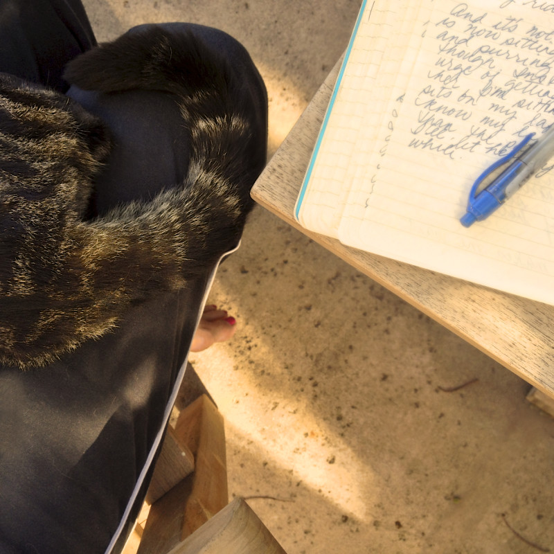 To write, or not to write…