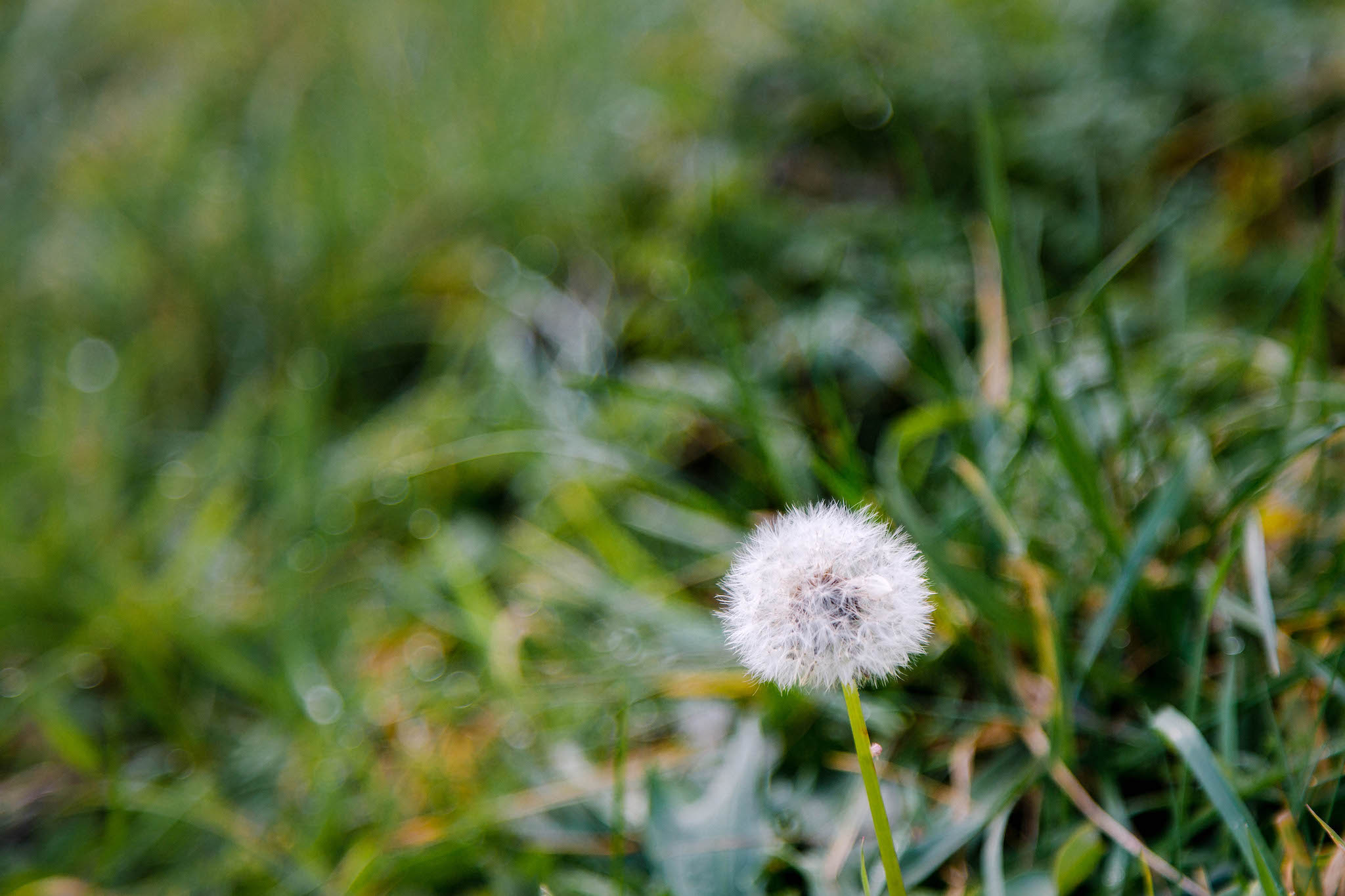 Billy Collins and stiff upper lips