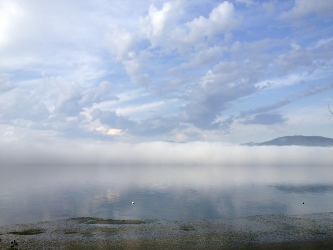 Grey days and Flying Snails