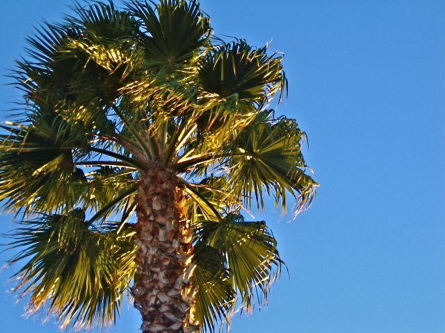 Go ahead. Lock me up.