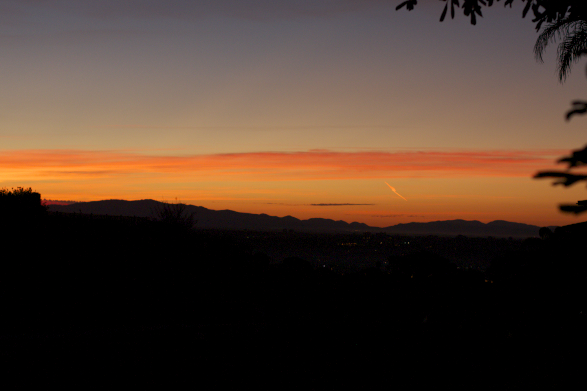 2012:  A year in photos