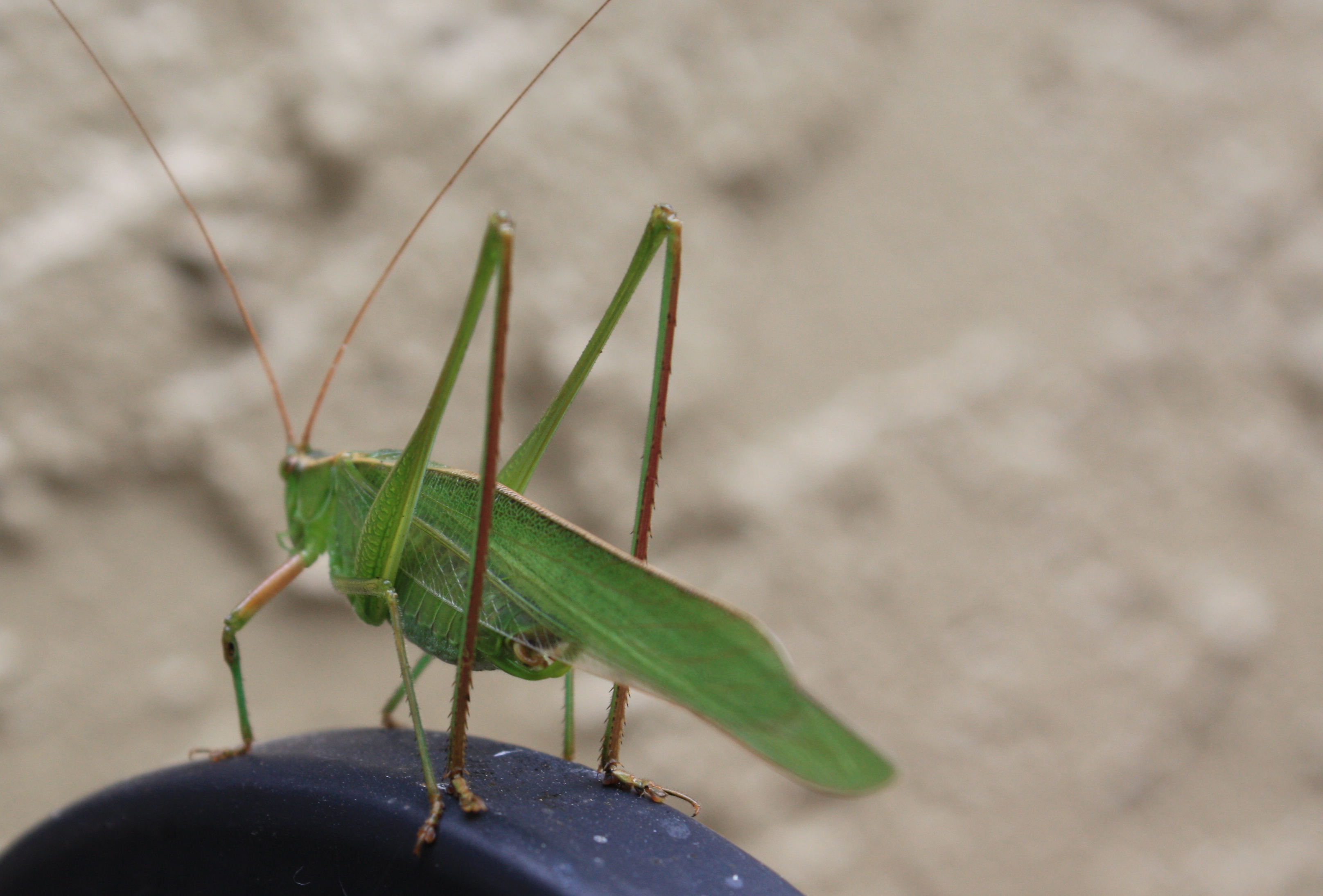 Finding a place to begin